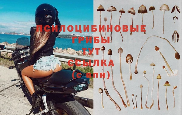 а пвп мука Алзамай