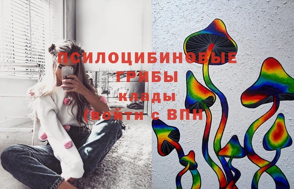 мяу мяу кристалл Алексин